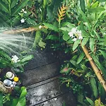 The Jungle Lodge At Kalu Yala