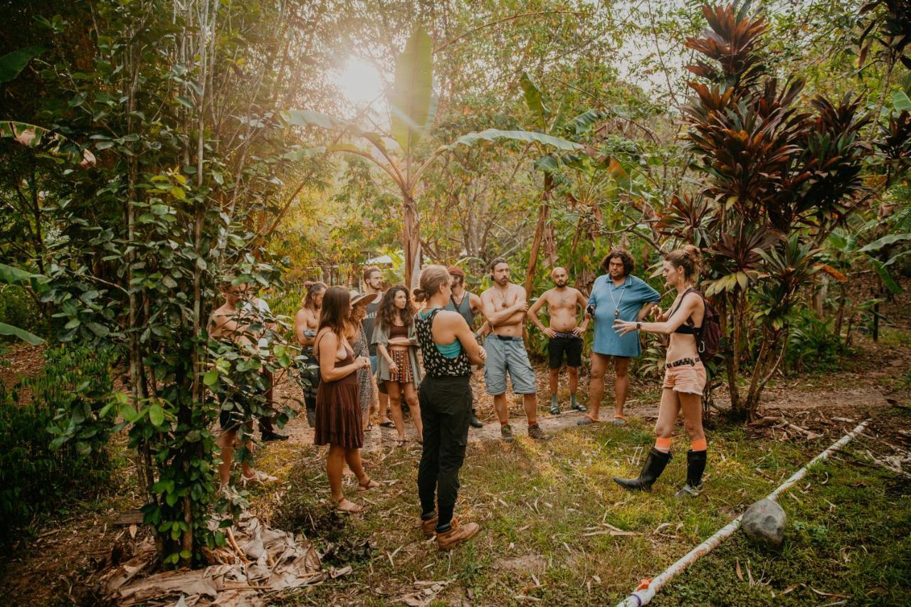 The Jungle At Kalu Yala 3*