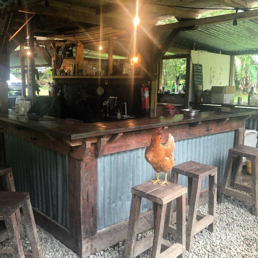 The Jungle At Kalu Yala Ciudad de Panamá