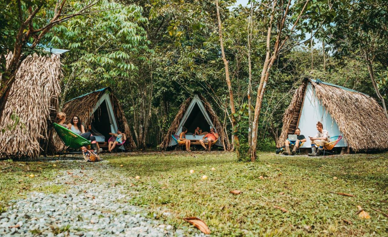 Hotel The Jungle At Kalu Yala 3*