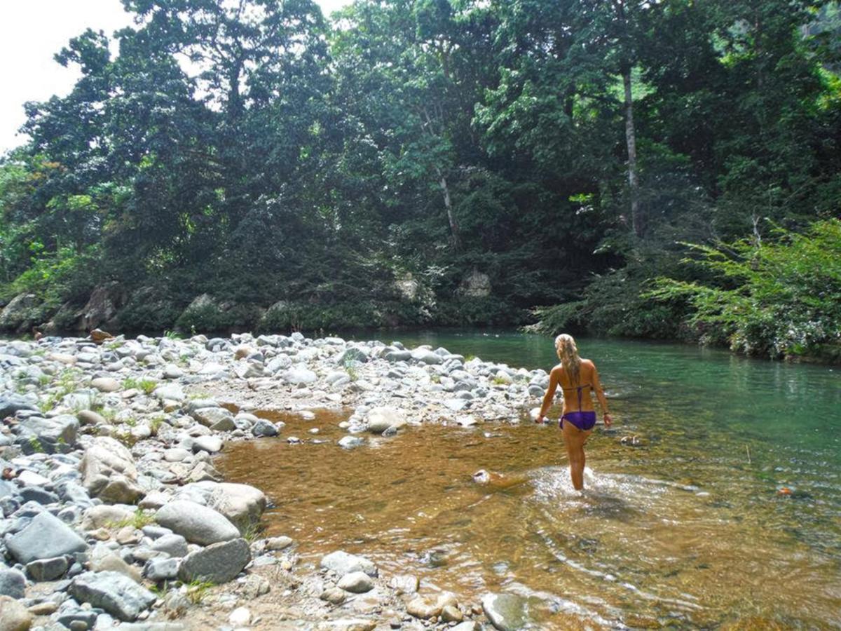 The Jungle At Kalu Yala